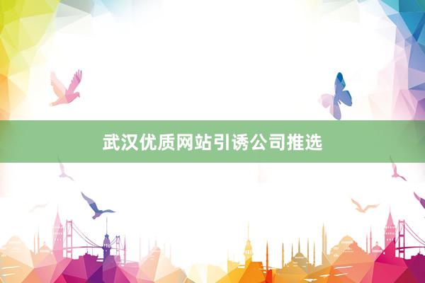武汉优质网站引诱公司推选